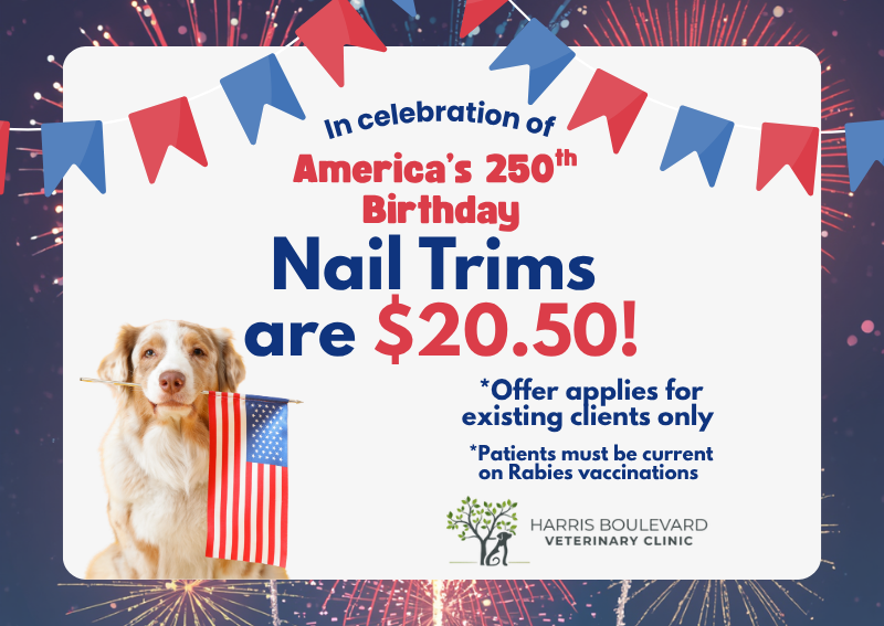 Carousel Slide 2: Book your appointment now!